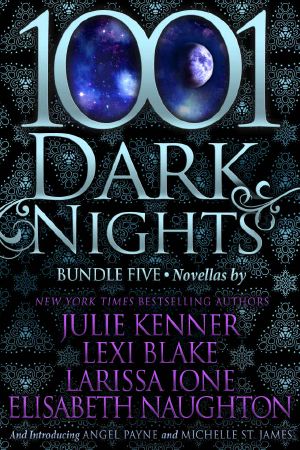 [1001 Dark Nights 05] • 1001 Dark Nights · Bundle Five